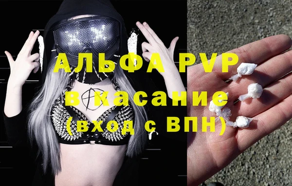 стаф Волосово