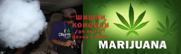 стаф Волосово