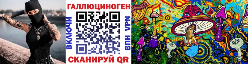 Псилоцибиновые грибы Psilocybine cubensis  Славянск-на-Кубани 